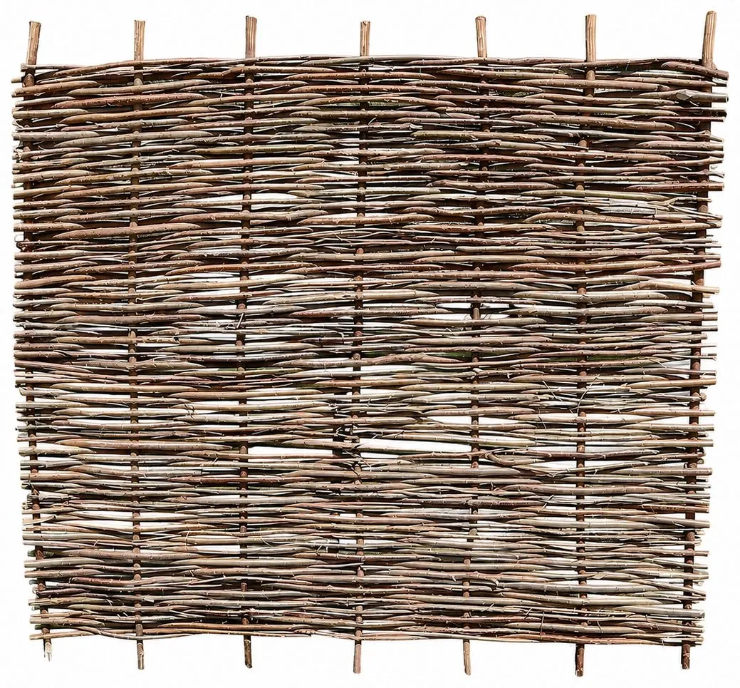 A staked hurdle, the woven rods on uprights that run past the weave at the top and the foot, bark on.